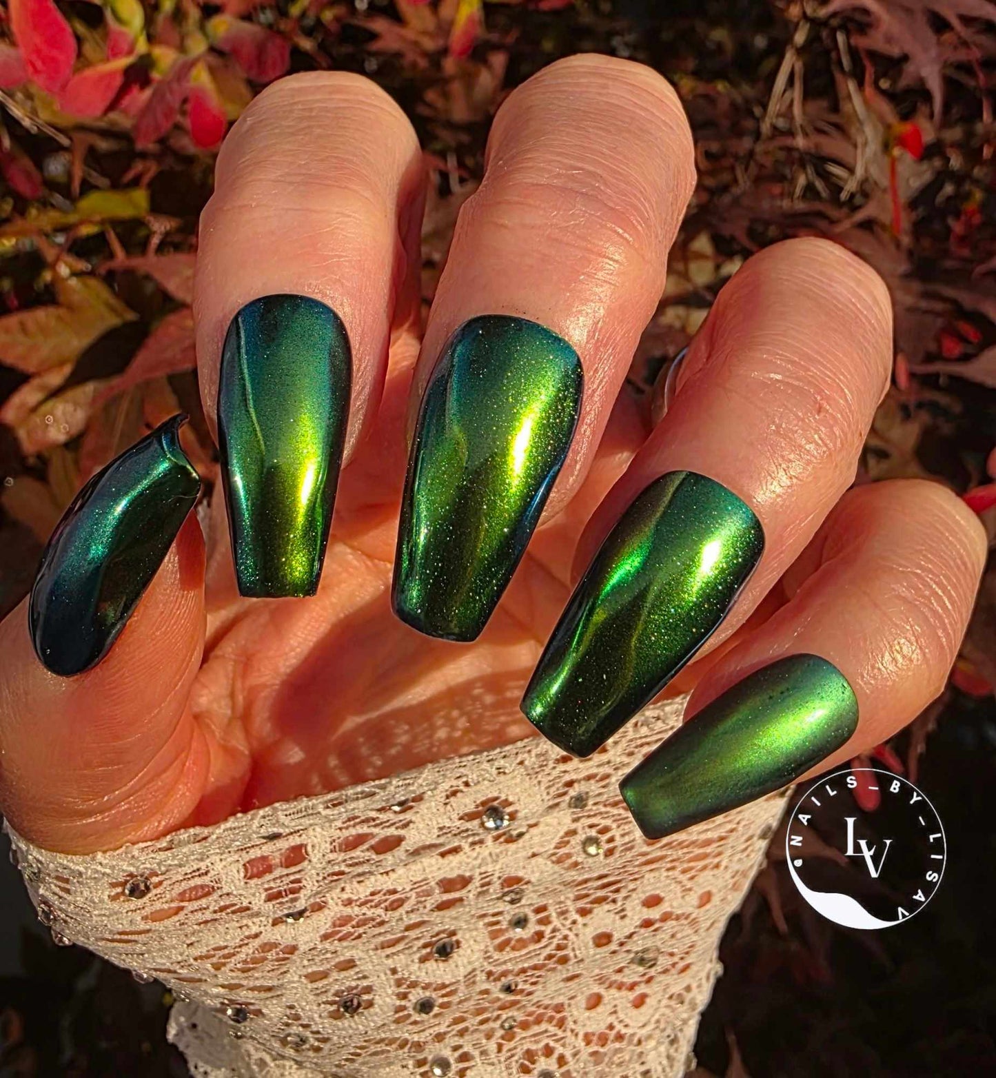 Dragon Chameleon CHROME #13 - Chrome Pigment