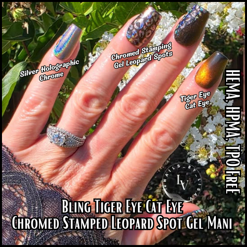 Tiger Eye 10D Cat Eye Gel with Stamping Gel and Holographic Chrome Mani - HEMA, HPMA, TPO Free
