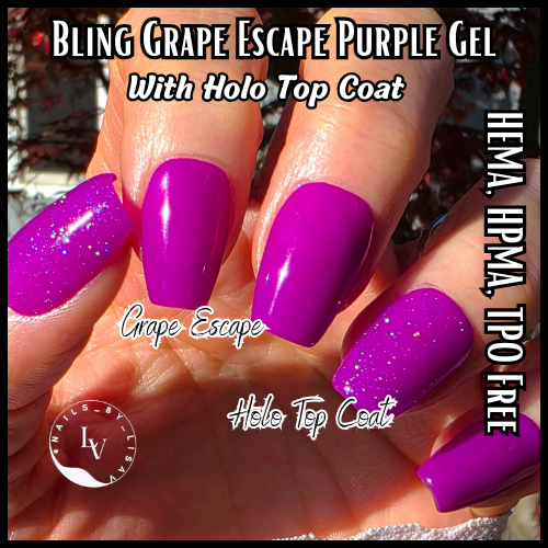 Holographic Glitter Top Coat Gel -  HEMA, HPMA, TPO Free