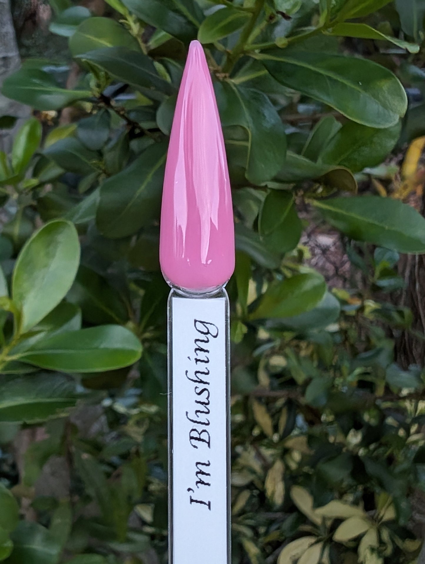 I'm Blushing | Rubber Base Gel in Bottle | HEMA, HPMA, TPO Free uv/led | 15ml | Soak Off | Clear | No Odor | Non-Yellowing