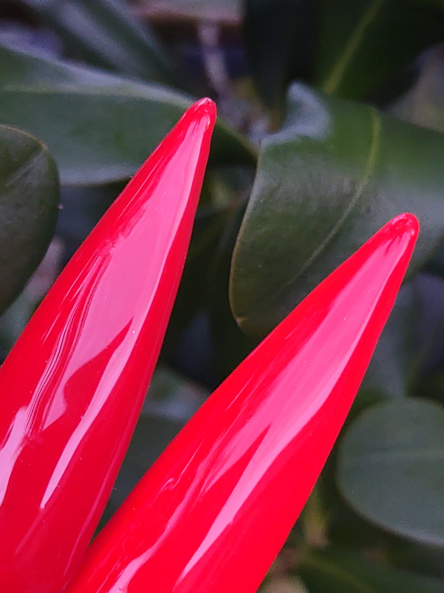 Lamborghini Red Glow Solid Color Gel Mani - HEMA, HPMA, TPO Free