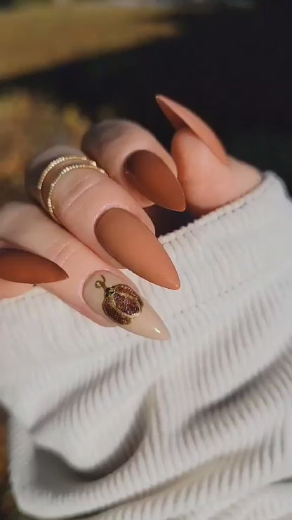 Espresso Martini Cat Eye with Sienna Rose, Cold Brew, Mocha Cream Solid Gels - HEMA, HPMA, TPO Free