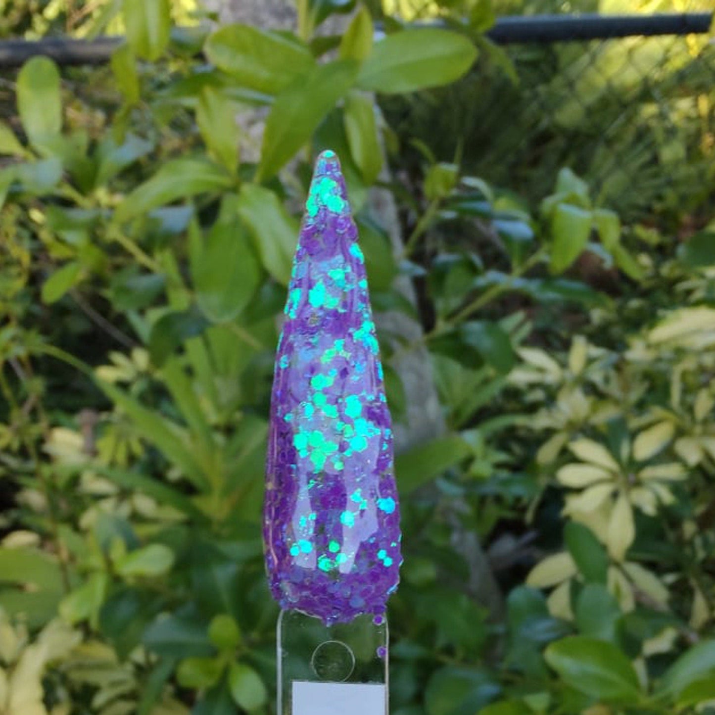Aurora Borealis Dip