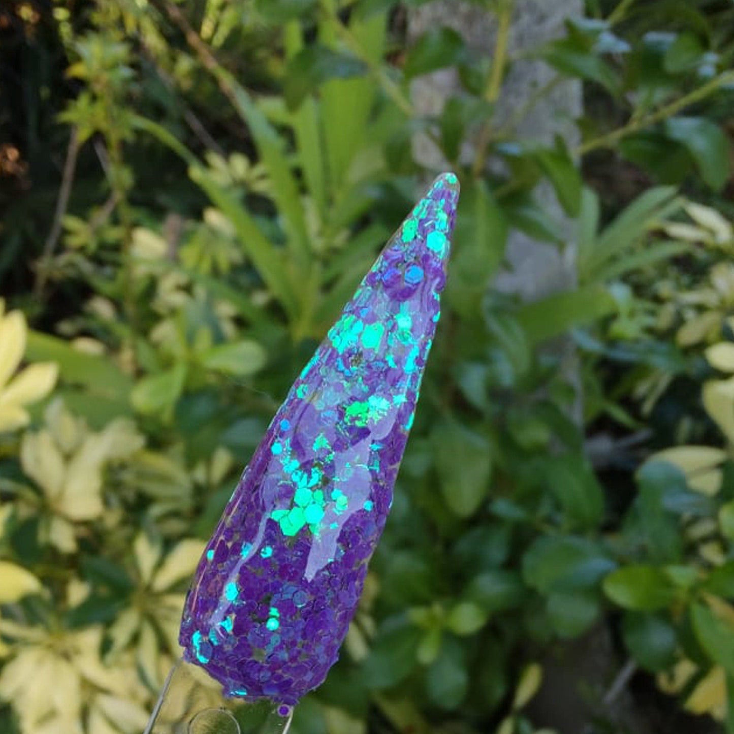 Aurora Borealis Dip