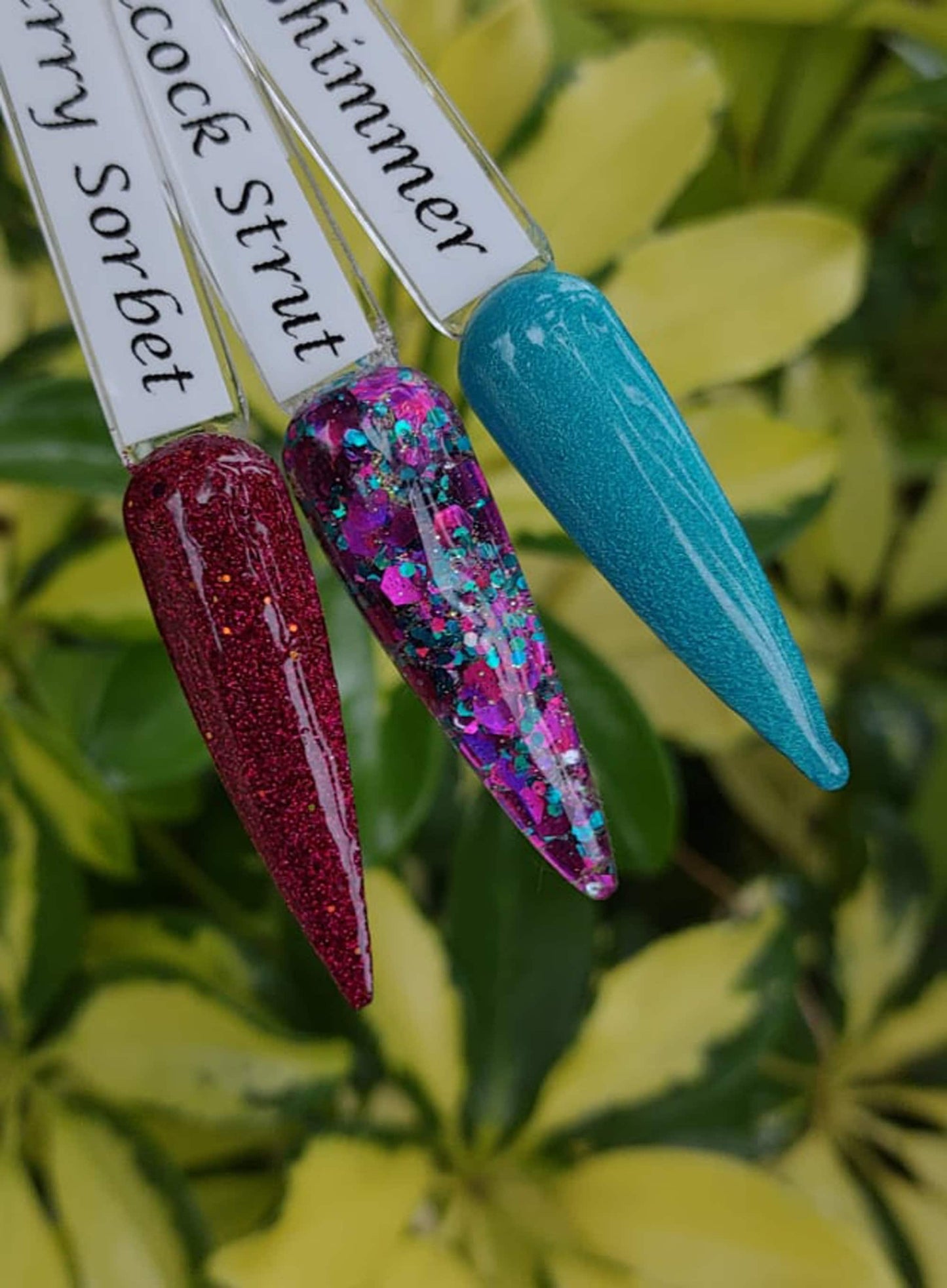 Peacock Strut Dip Trio