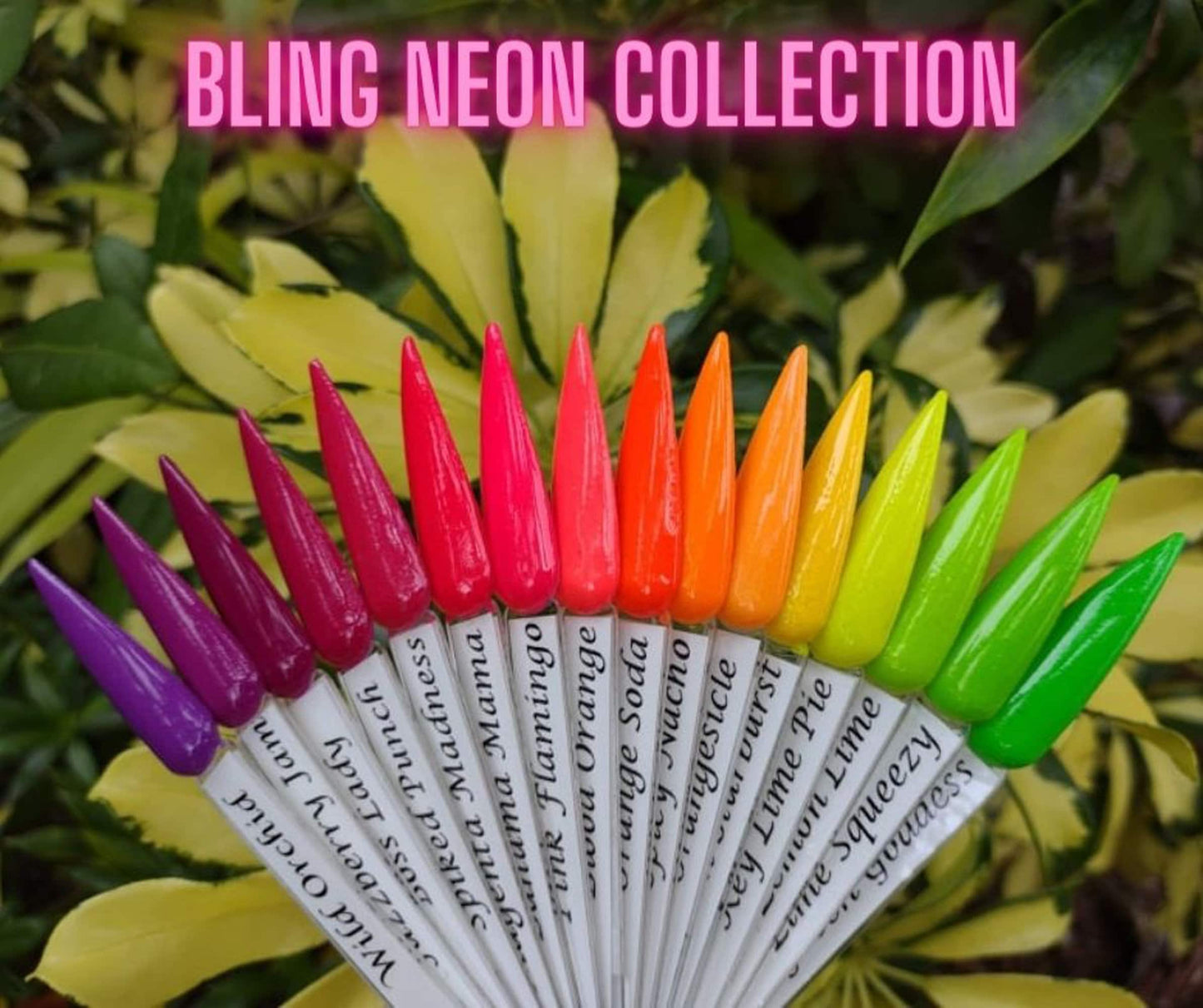 NEON Dip Collection