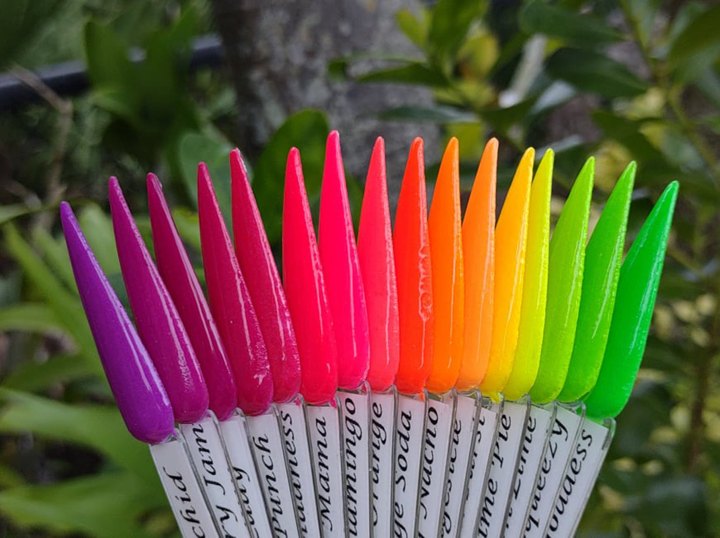 NEON Dip Collection