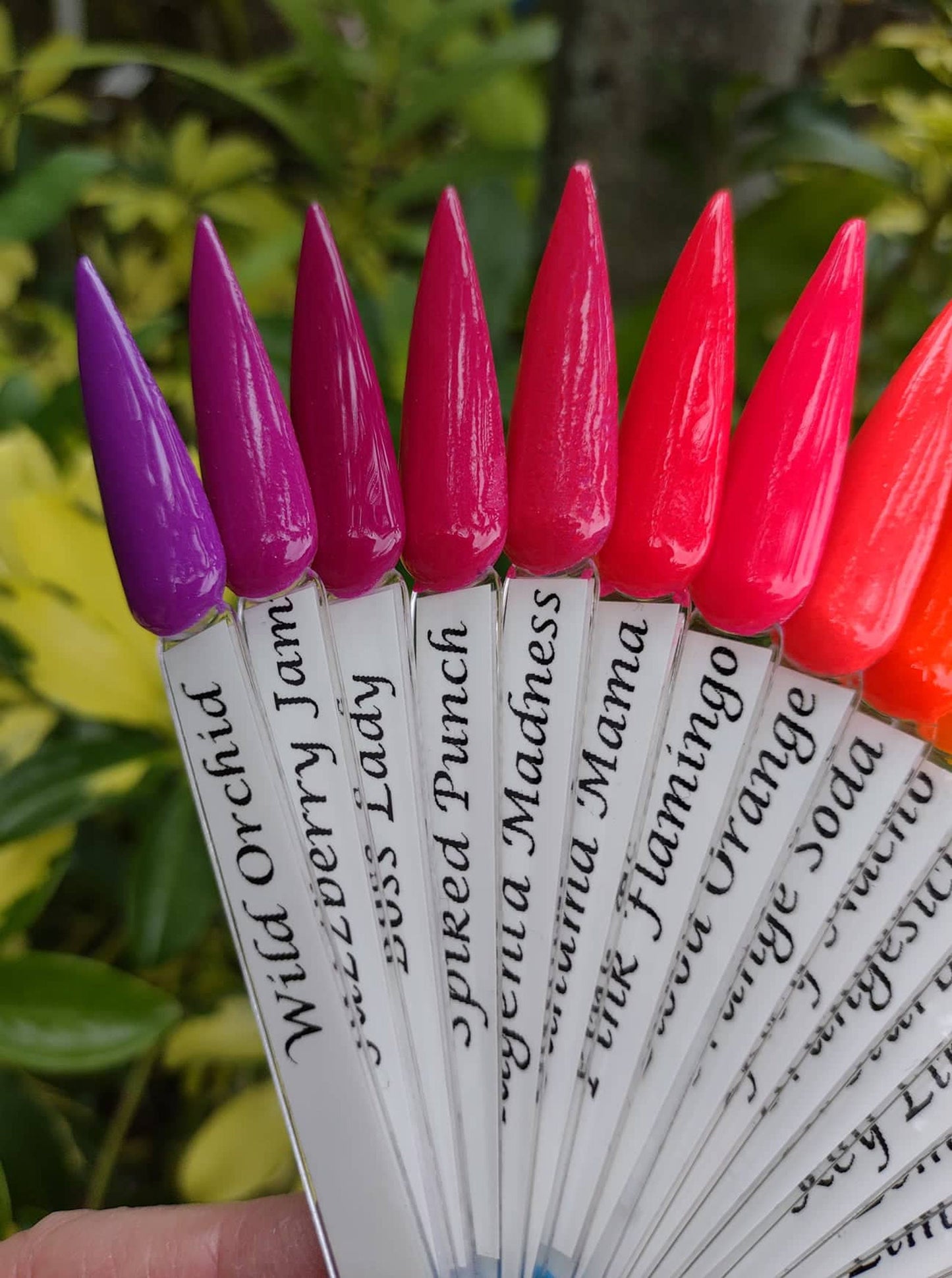 NEON Dip Collection