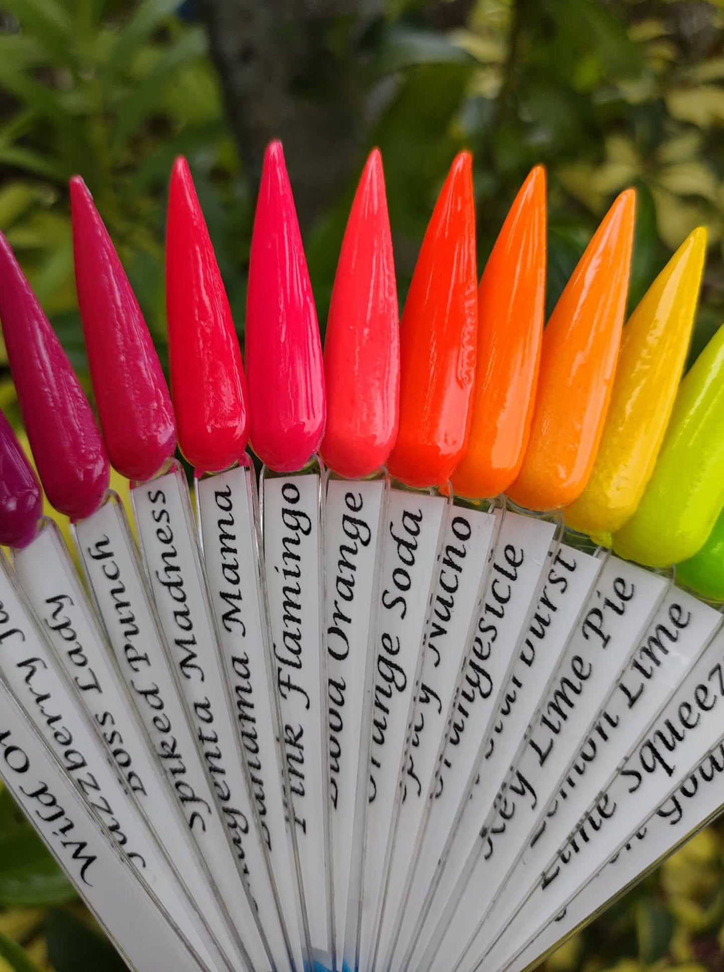NEON Dip Collection