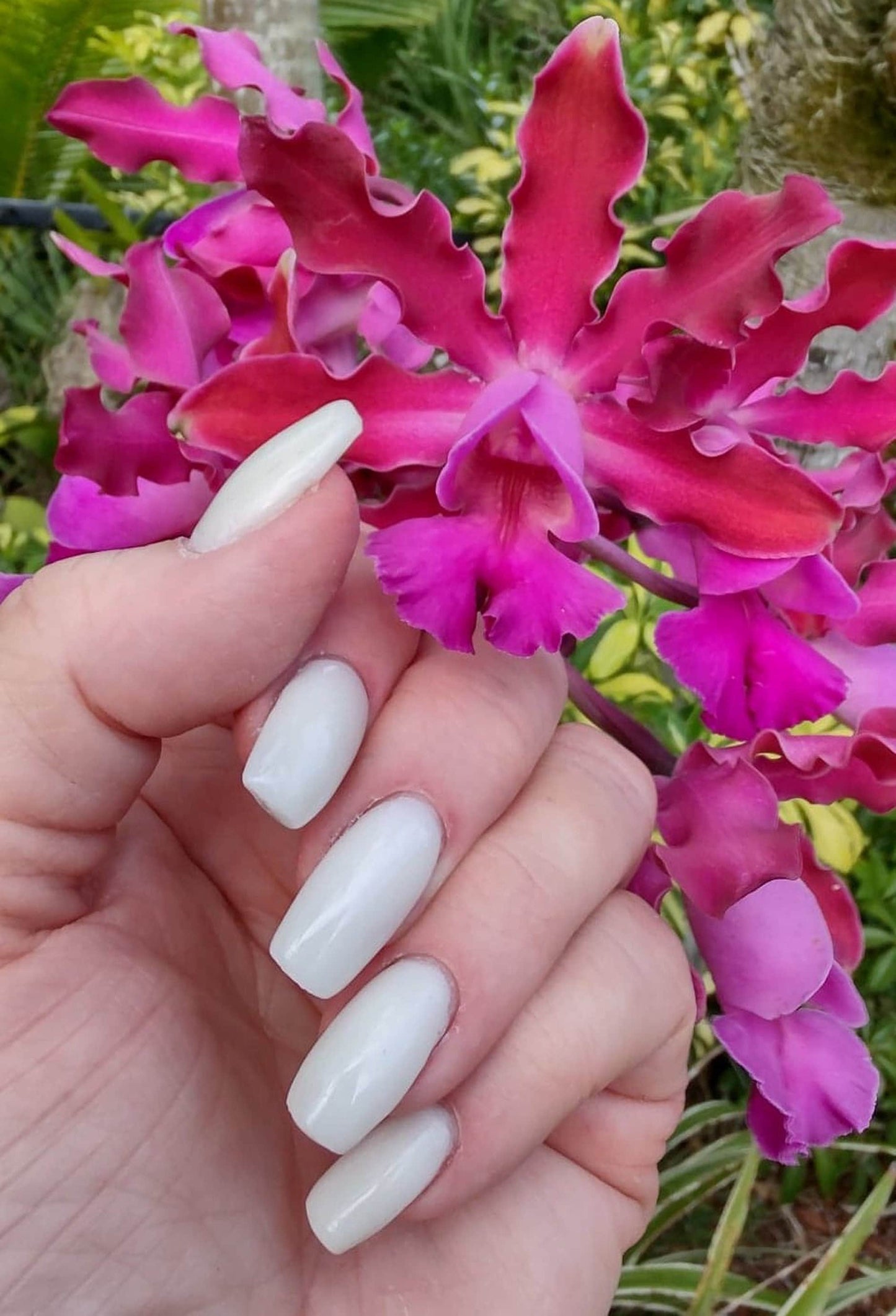 Milky White Dip Mani
